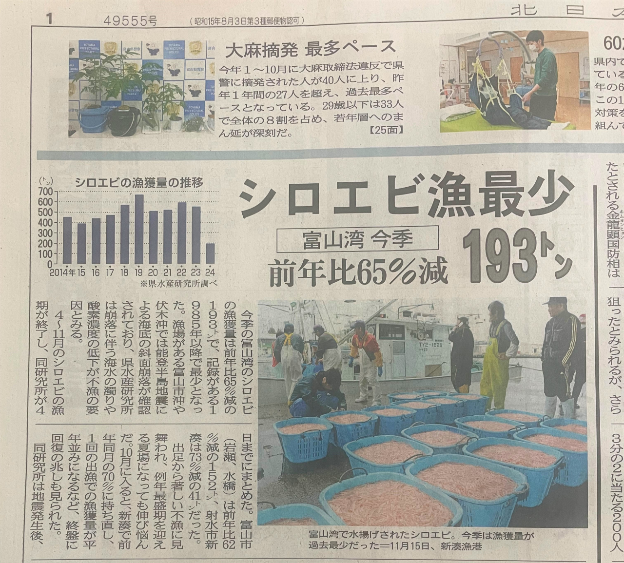 シロエビ不漁2024新聞記事