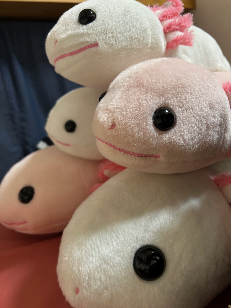 うぱちょす